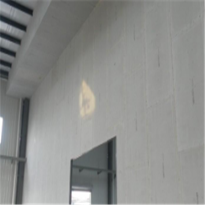 苍溪宁波ALC板|EPS加气板隔墙与混凝土整浇联接的实验研讨